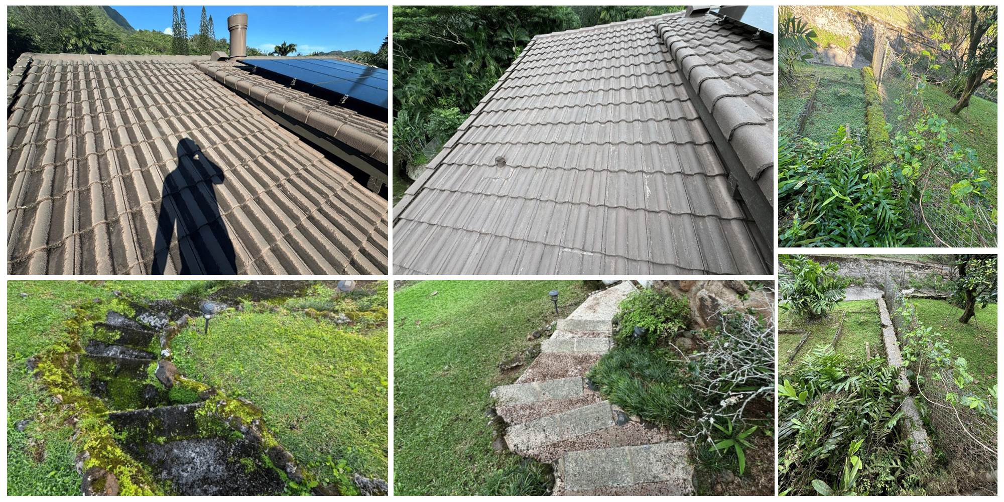 image of work done by Pacific Spray Wash on this property